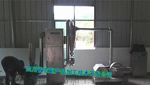 顆粒藕粉、速溶藕粉及復合藕粉設備的技術開發(fā)與應用